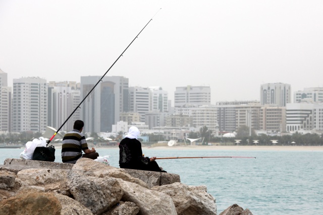 Vereinigte Arabische Emirate im April 2009 - Bild IB_090403_011.jpg