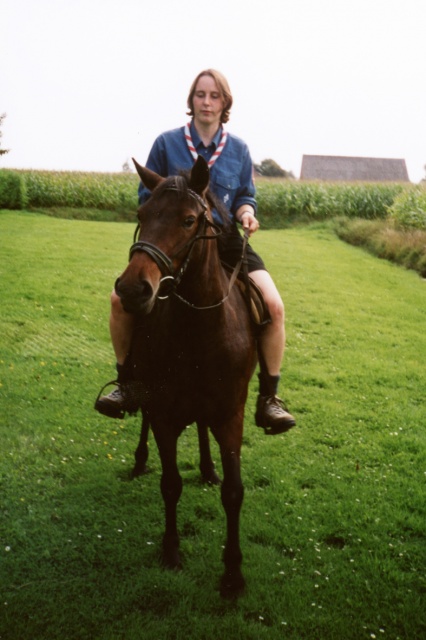 Querschnitt Pfadfinderbilder - Bild noramitpferd.jpg