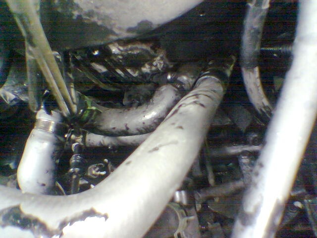 Vw T4 von waldi Ein- und Umbauten - Bild oelkuehler005.jpg