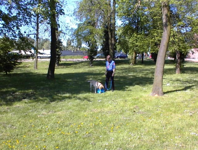 Jurtenaufbaubungswochenende - Bild 010913_011.jpg