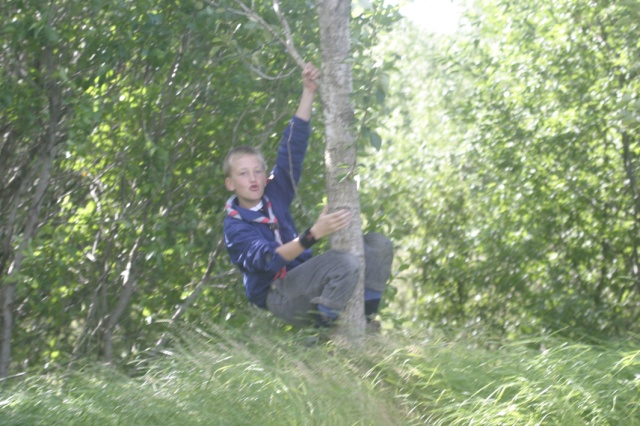 Sommerfahrt Island 2005 1/2 - Bild Island_050805_034.jpg