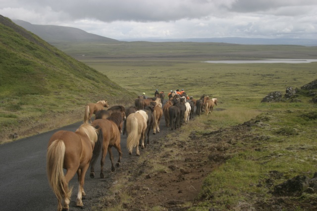 Sommerfahrt Island 2005 2/2 - Bild Island_050815_063.jpg