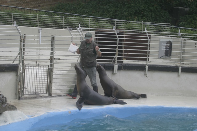 Die Gaue Rheinland im Zoo - Bild IB_050911_014.jpg