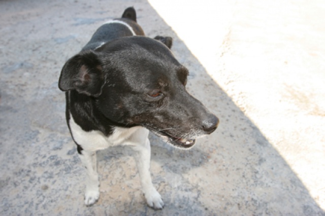 S�d Afrika - Bild IB_060226_028.jpg
