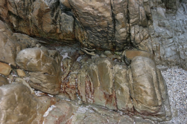 S�d Afrika - Bild IB_060226_050.jpg