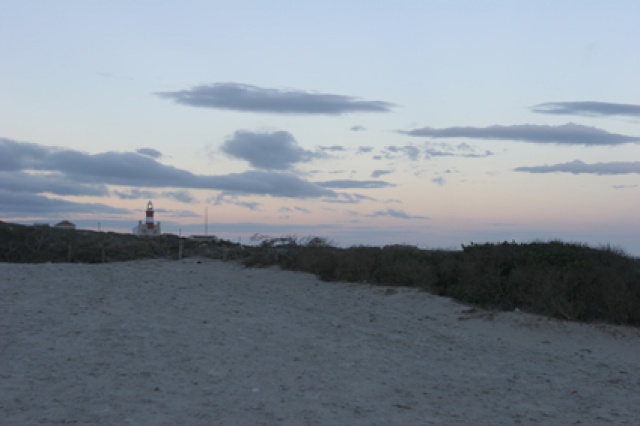 S�d Afrika - Bild IB_060226_071.jpg