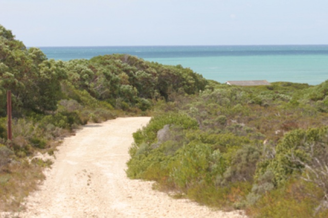 S�d Afrika - Bild IB_060226_080.jpg