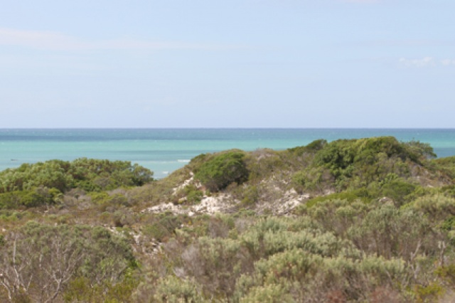 S�d Afrika - Bild IB_060226_081.jpg