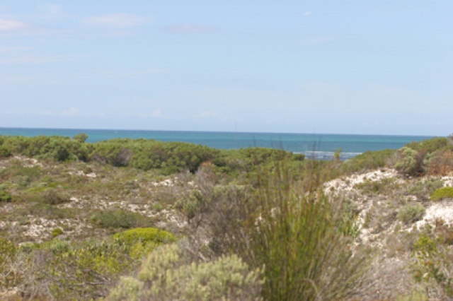 S�d Afrika - Bild IB_060226_082.jpg