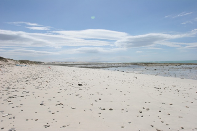 S�d Afrika - Bild IB_060226_086.jpg