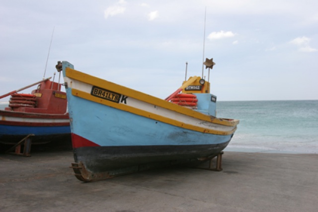 S�d Afrika - Bild IB_060226_103.jpg