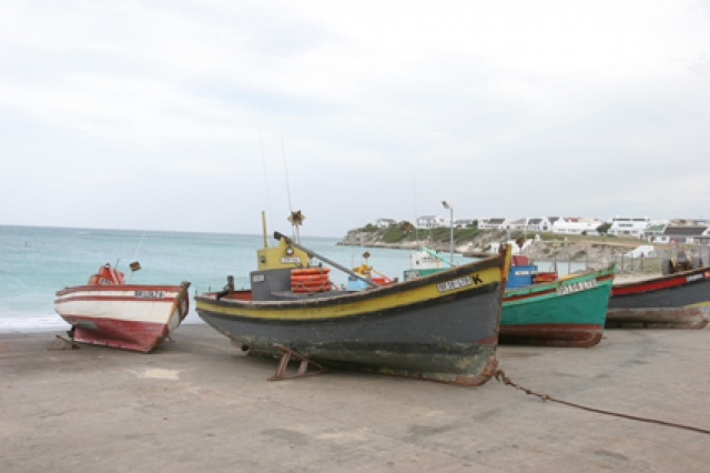 S�d Afrika - Bild IB_060226_106.jpg
