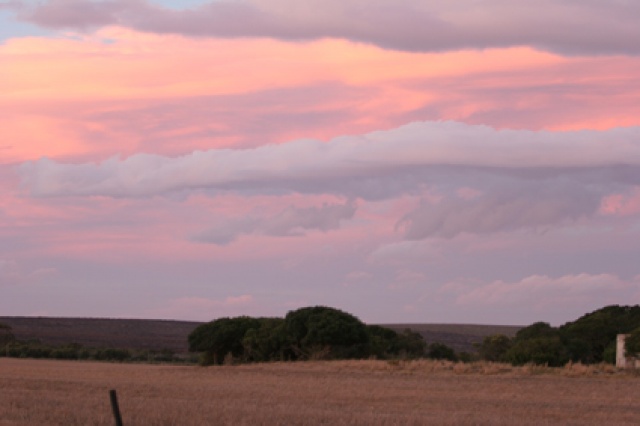 S�d Afrika - Bild IB_060226_108.jpg