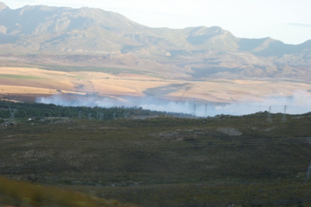 Sd Afrika - Bild IB_060226_123.jpg