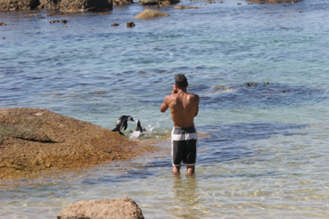 S�d Afrika - Bild IB_060226_225.jpg