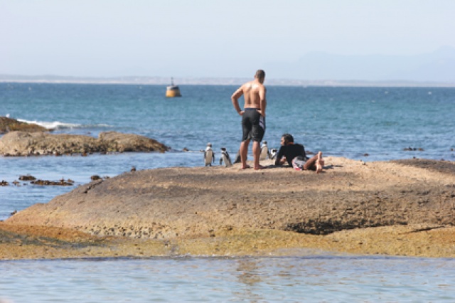 S�d Afrika - Bild IB_060226_229.jpg