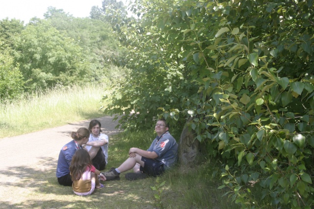Sommersonnenwende 2006 - Bild ssw06_059.jpg