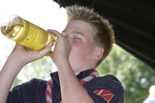 Sommersonnenwende 2006 - Bild ssw06_139.jpg