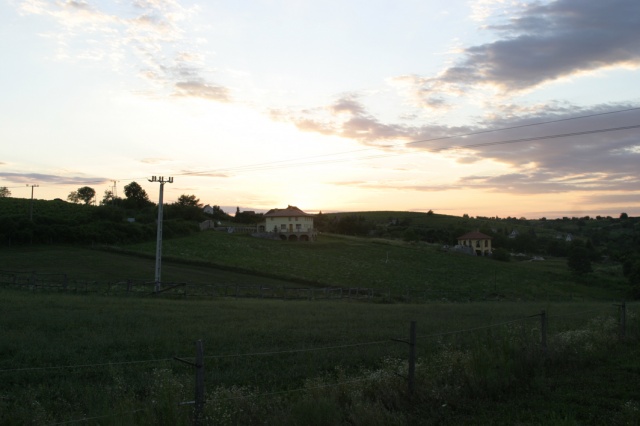 Sommerfahrt Ungarn 2006 1/2 - Bild ungarn117.jpg