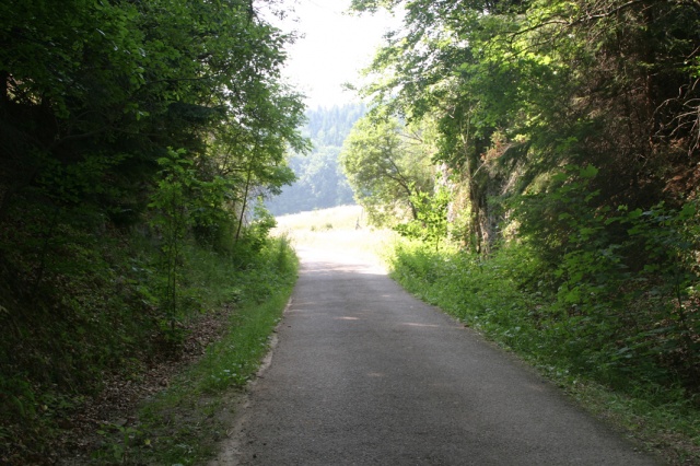 Sommerfahrt Ungarn 2006 1/2 - Bild ungarn271.jpg
