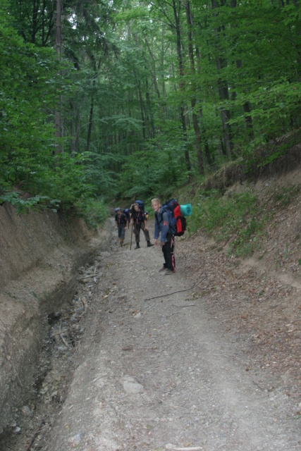 Sommerfahrt Ungarn 2006 2/2 - Bild ungarn319.jpg