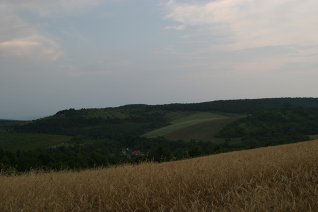 Sommerfahrt Ungarn 2006 2/2 - Bild ungarn394.jpg