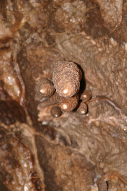 Sommerfahrt Ungarn 2006 2/2 - Bild ungarn417.jpg