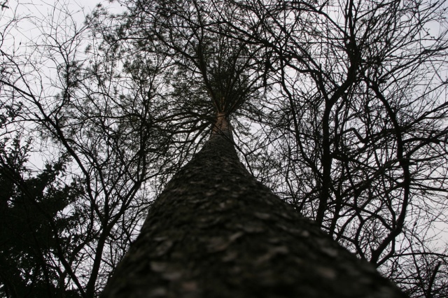 Speerjungenlager 2006/2007 in K�rbeldorf - Bild speerjungen_357.jpg