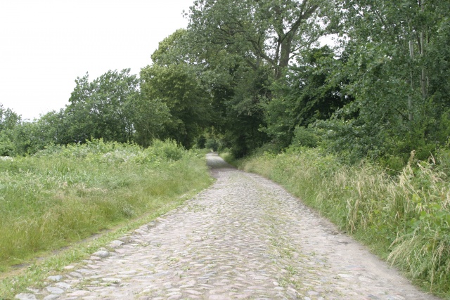Camping in Polen - Bild IB_070616_016.jpg