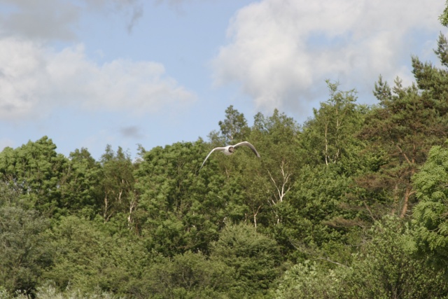 Camping in Polen - Bild IB_070616_043.jpg