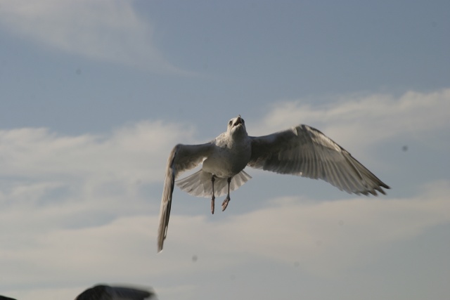 Camping in Callantsoog (NL) - Bild 071023_calla_147.jpg