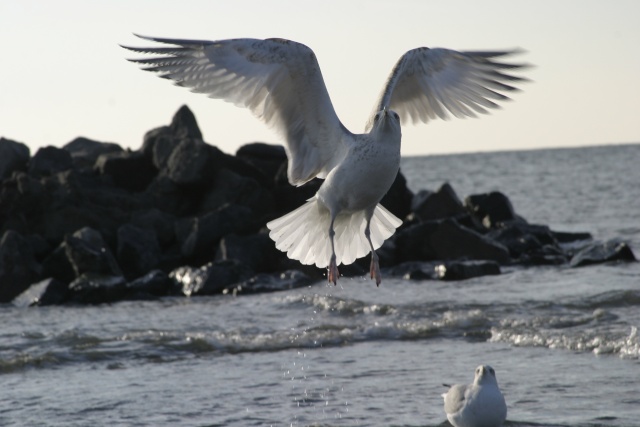 Camping in Callantsoog (NL) - Bild 071023_calla_165.jpg