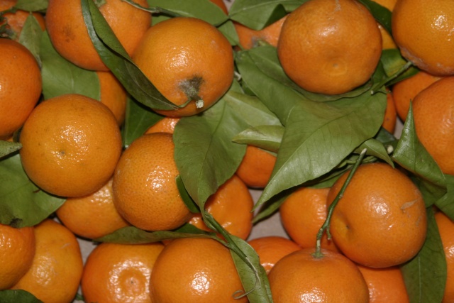 Speerjungenlager 2007/2008 in Ettelscheid - Bild speerjunge07_163.jpg