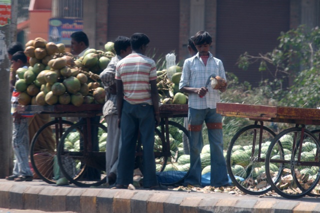 Bangalore/Indien - Februar 2009 - Bild IB_090206_034.jpg