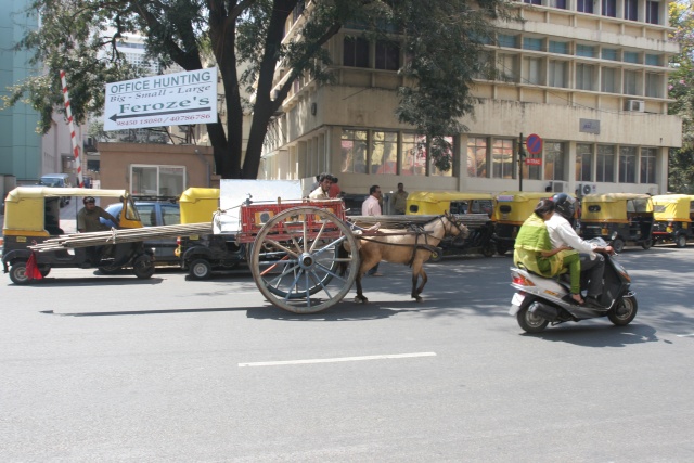 Bangalore/Indien - Februar 2009 - Bild IB_090209_052.jpg