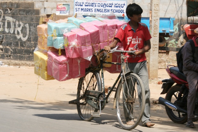 Bangalore/Indien - Februar 2009 - Bild IB_090216_043.jpg