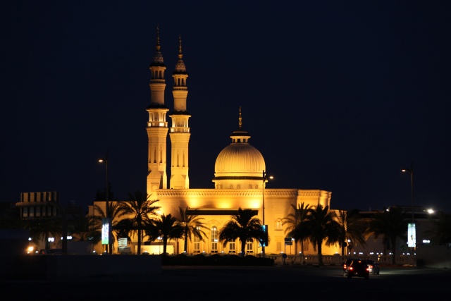 Vereinigte Arabische Emirate im April 2009 - Bild IB_090404_065.jpg