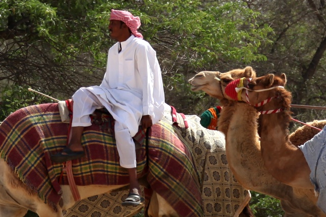 Vereinigte Arabische Emirate im April 2009 - Bild IB_090405_004.jpg