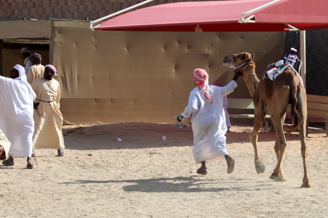 Vereinigte Arabische Emirate im April 2009 - Bild IB_090405_053.jpg