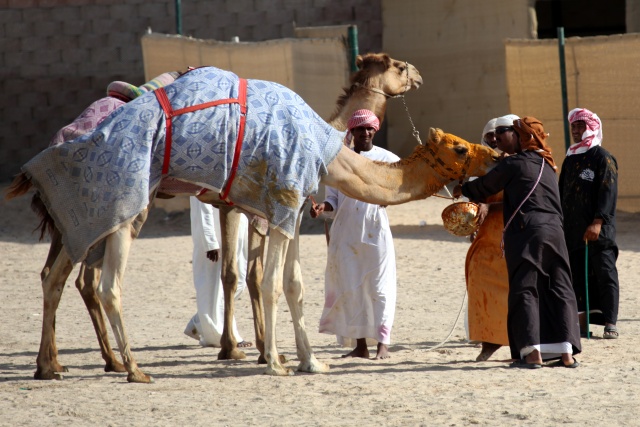 Vereinigte Arabische Emirate im April 2009 - Bild IB_090405_060.jpg