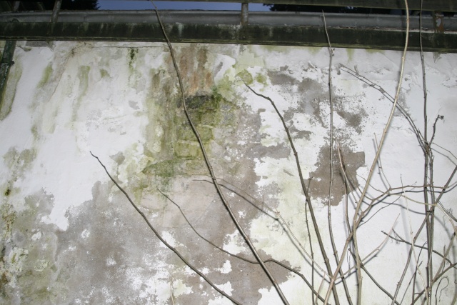 Fachwerk in Naaf - Bild IB_091218_055.jpg