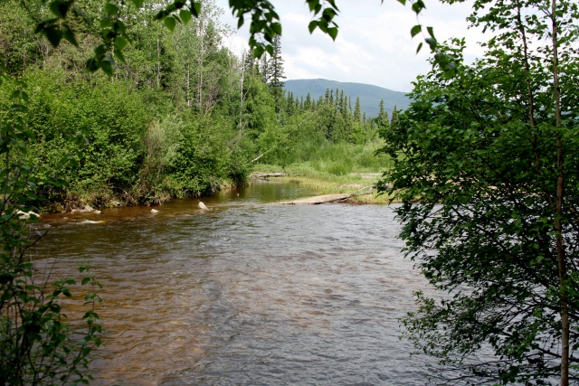 Alaska Juni 2012 - Bild IB_120610_008.jpg
