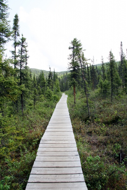 Alaska Juni 2012 - Bild IB_120610_011.jpg