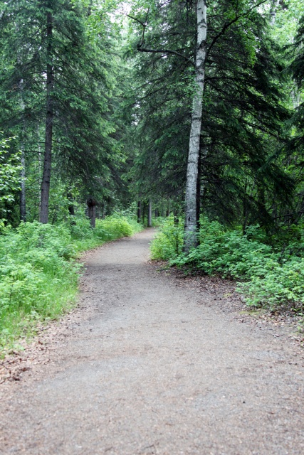 Alaska Juni 2012 - Bild IB_120610_017.jpg