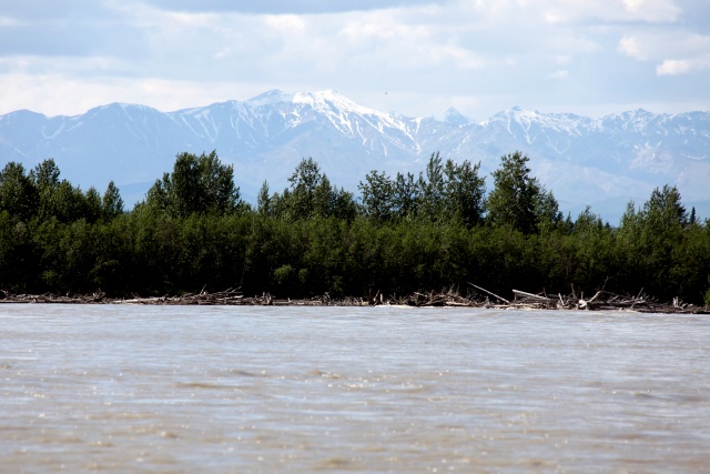 Alaska Juni 2012 - Bild IB_120615_007.jpg