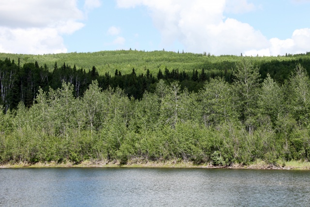 Alaska Juni 2012 - Bild IB_120615_022.jpg