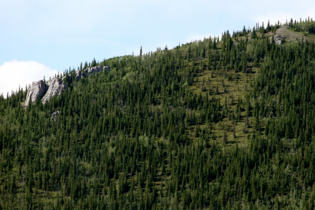 Alaska Juni 2012 - Bild IB_120617_043.jpg